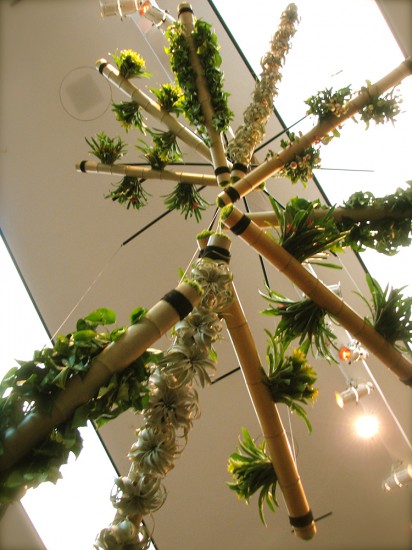 detail of landscape (2) plant installation, H Julien Designs