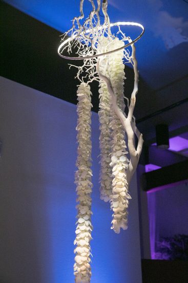 SpotOn Events, Photographers- Karen Drinkwater and Lisa Duncan