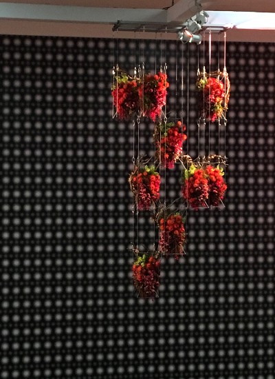 Natural Reclamation, de Young Museum, SF CA