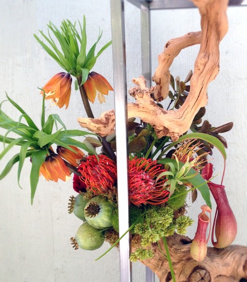 grapevine chandelier