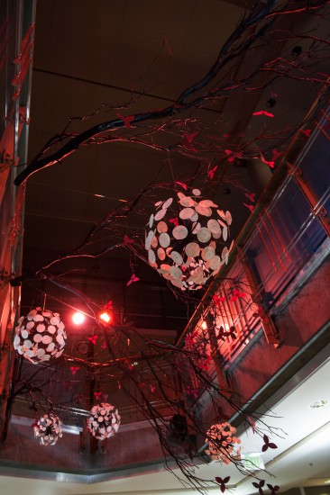 CopperLeaf Productions, Photographer- Alexis Silver