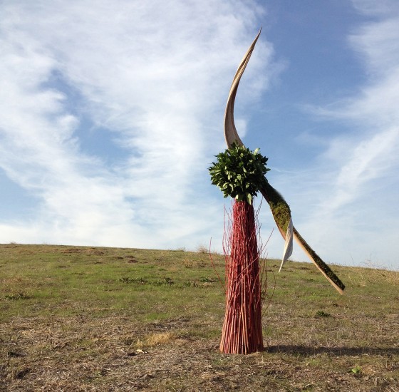 balance two, red dogwood, princess palm, bayleaf