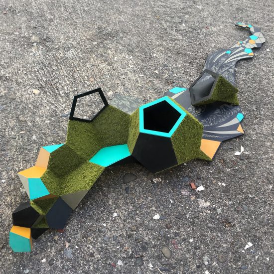 Growth of a Platonic Solid