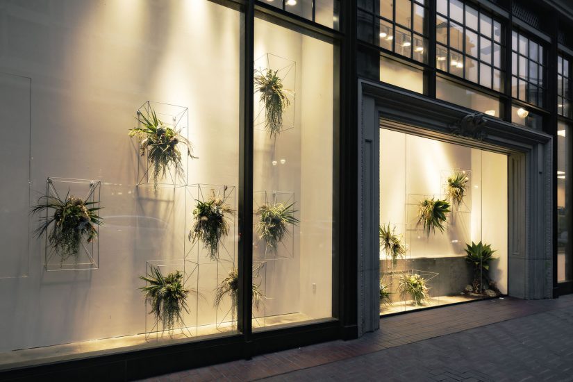 Matthew Lawson photographer