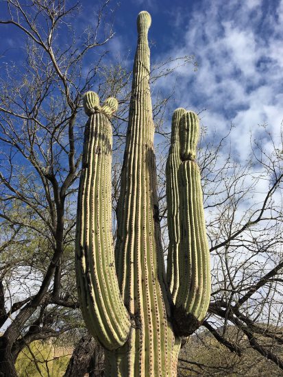 SpotOn Events, LRG Photography