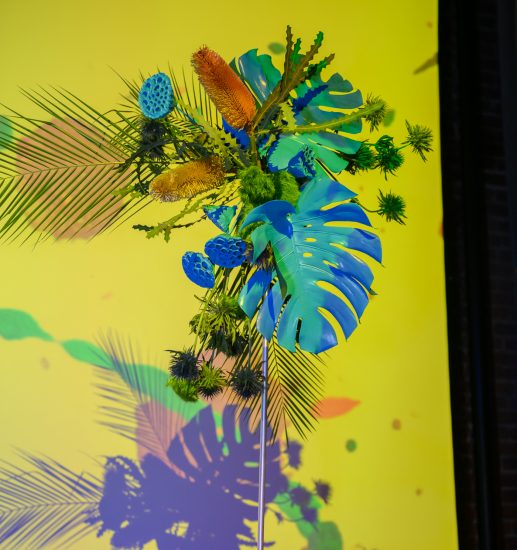 SpotOn Events, Black Cat Photos