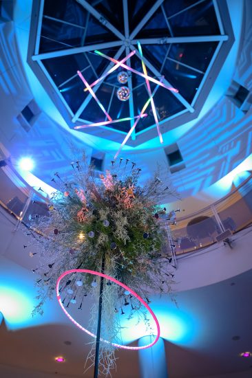 SpotOn Events, Black Cat Photos