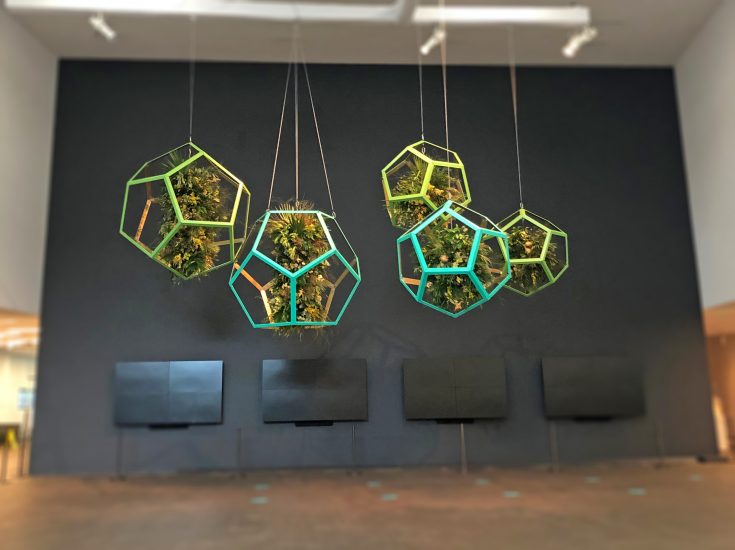 Interstellar, de Young Museum, SF CA