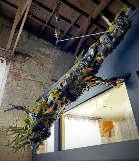 fallen log installation at Lovely Day Restaurant