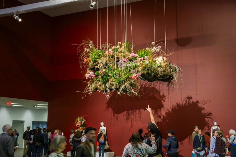 Rooted, de Young Museum SF CA, photos by Matthew Lawson