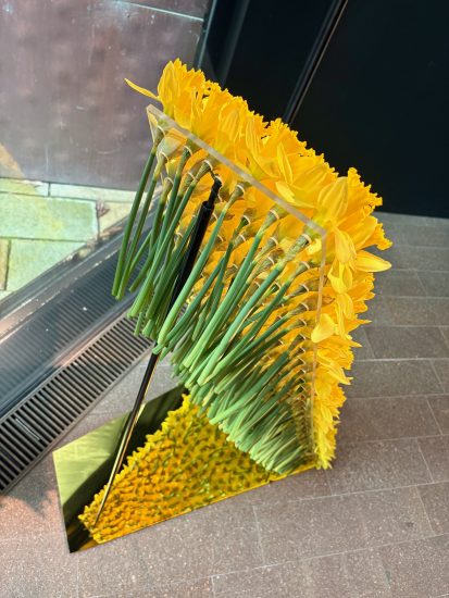 mirrored stem structure